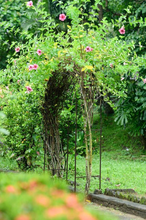 Irene'S Home Matale Esterno foto